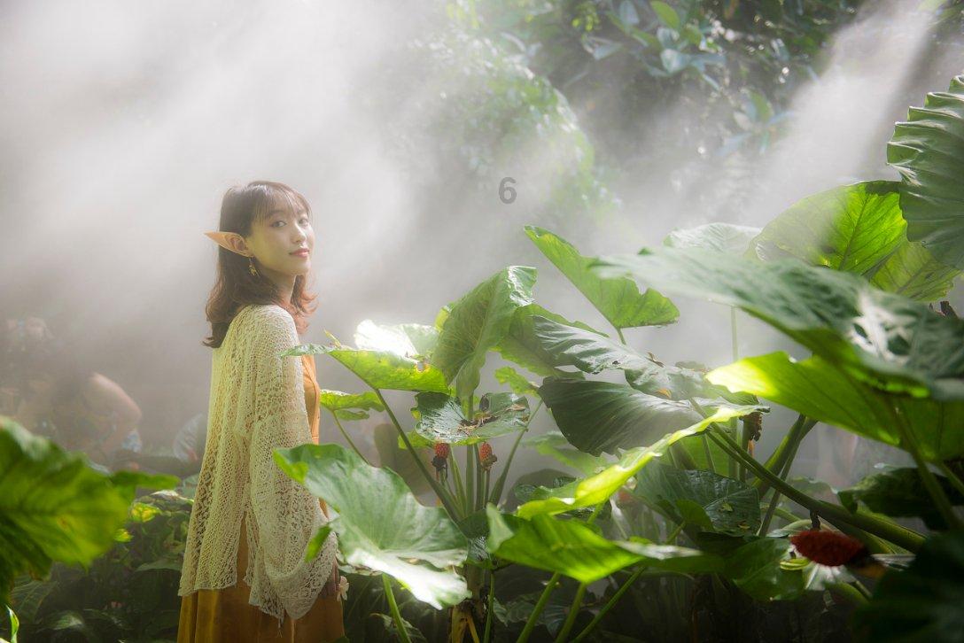 雷竞技比分